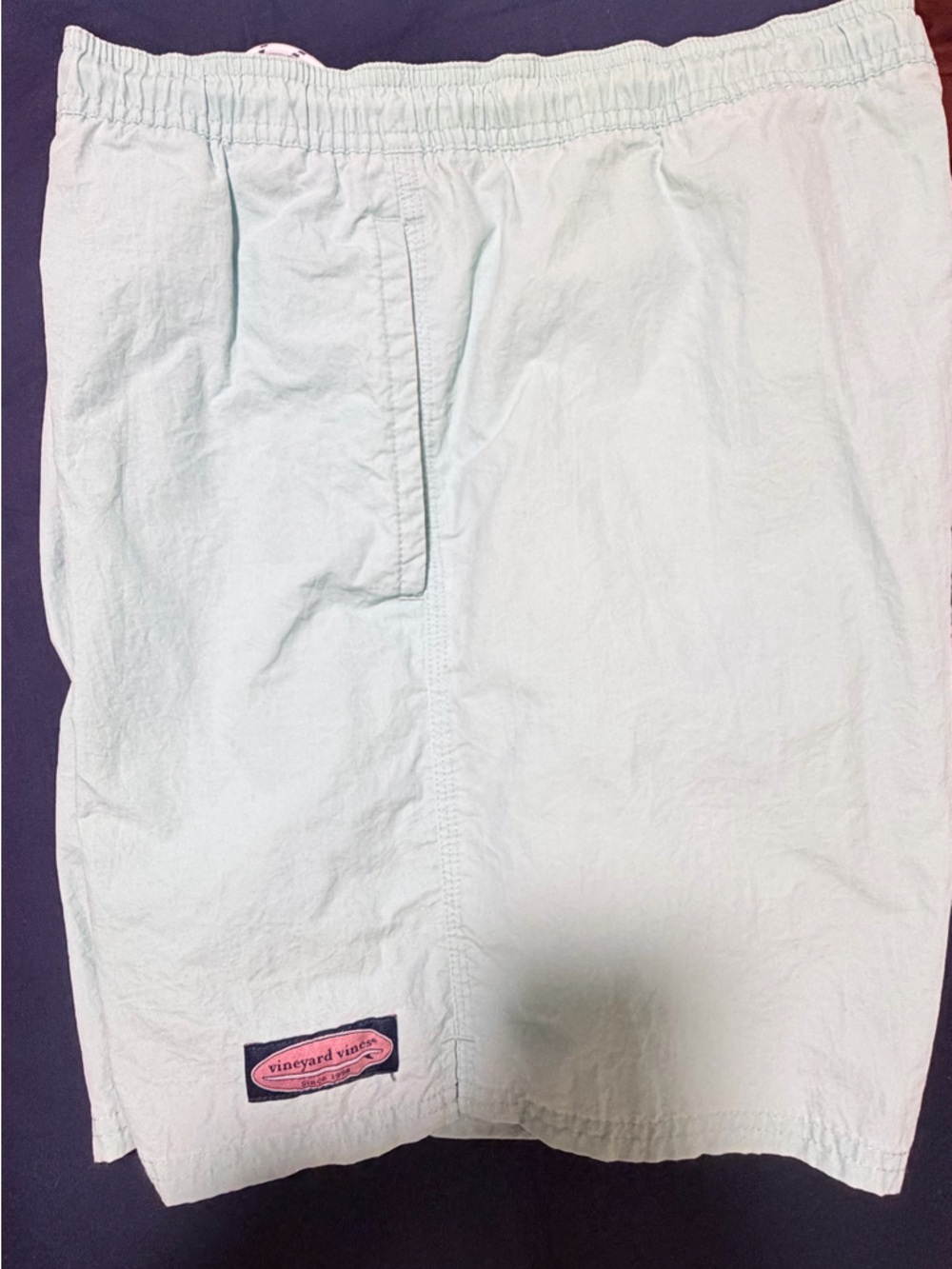 Vineyard Vines Light Mint Men's Swim Trunks